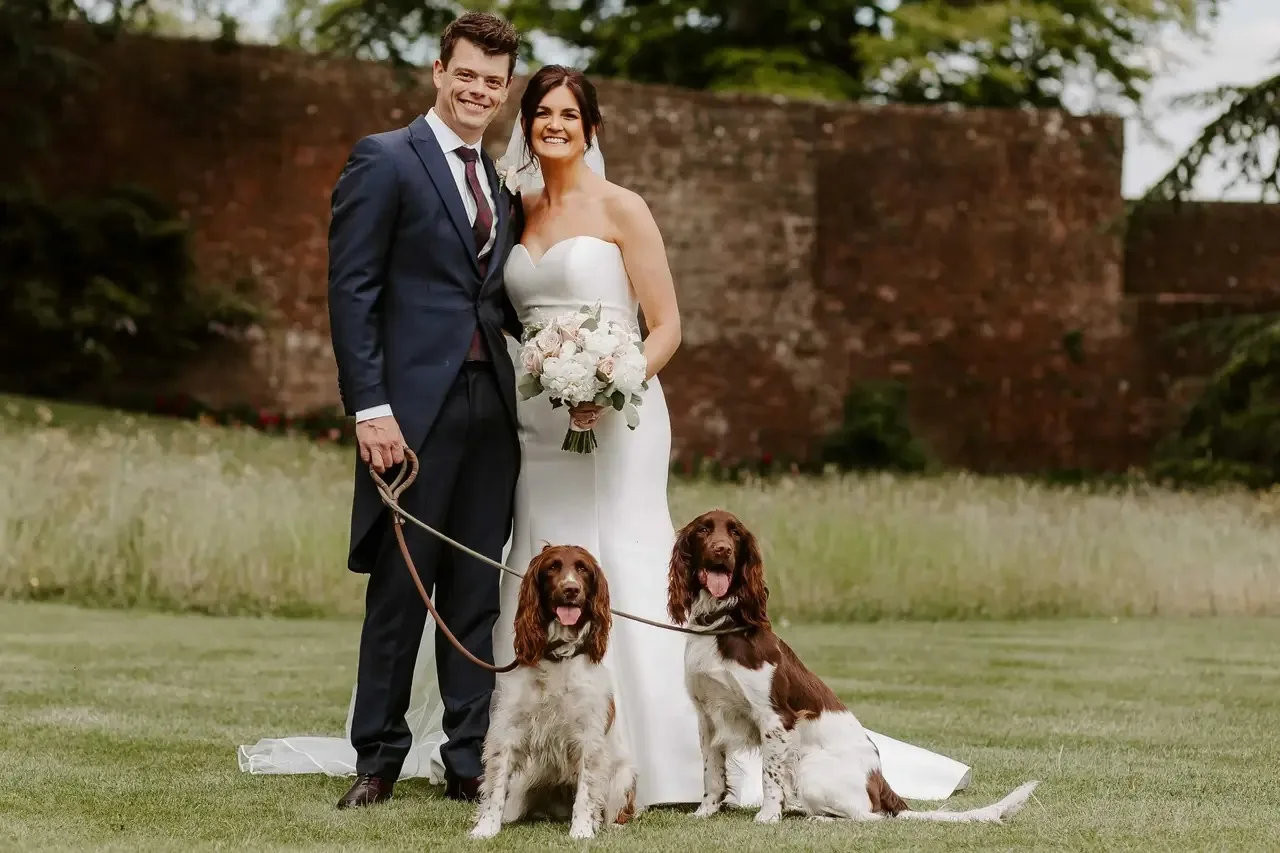 Wedding couple outdoors with two dogs